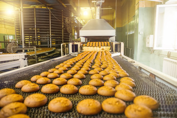 Food Processing Plant Image